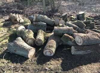 Logs1 small